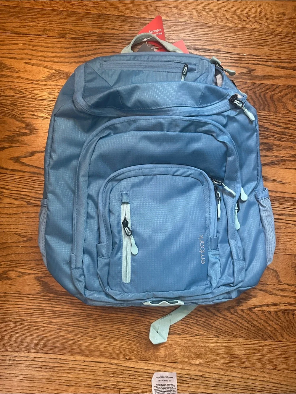 Embark Sky Blue Men's Backpack with Multiple Compartments